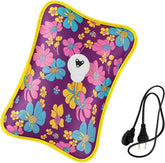 Electric hot water bag